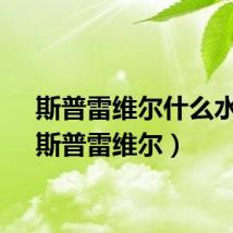 斯普雷维尔什么水平（斯普雷维尔）