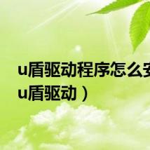 u盾驱动程序怎么安装（u盾驱动）