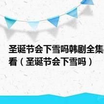 圣诞节会下雪吗韩剧全集在线观看（圣诞节会下雪吗）