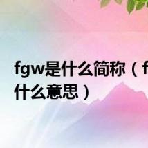 fgw是什么简称（fgw是什么意思）