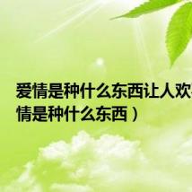 爱情是种什么东西让人欢喜（爱情是种什么东西）