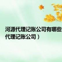 河源代理记账公司有哪些（河源代理记账公司）