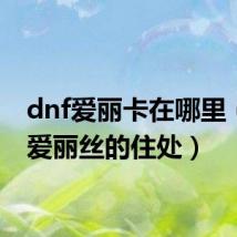 dnf爱丽卡在哪里（dnf爱丽丝的住处）