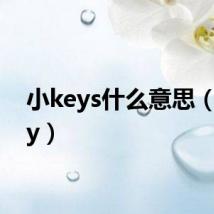 小keys什么意思（小key）