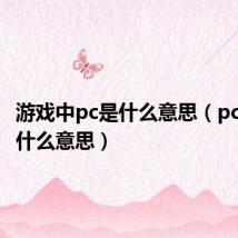 游戏中pc是什么意思（pc游戏是什么意思）