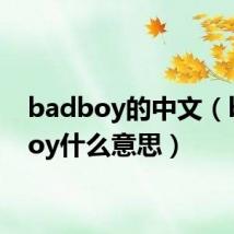 badboy的中文（badboy什么意思）