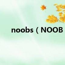 noobs（NOOB）