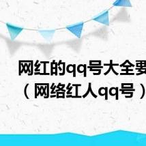 网红的qq号大全要真的（网络红人qq号）