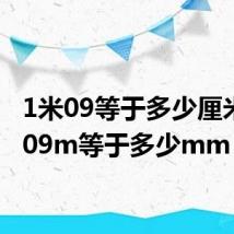 1米09等于多少厘米（1 09m等于多少mm）