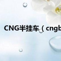 CNG半挂车（cngba）