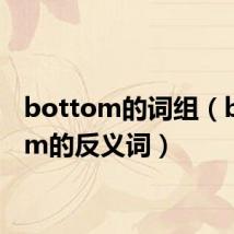 bottom的词组（bottom的反义词）