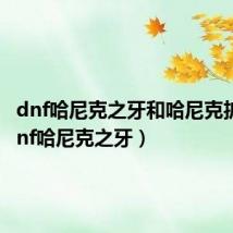 dnf哈尼克之牙和哈尼克护面（dnf哈尼克之牙）