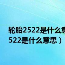 轮胎2522是什么意思（522是什么意思）