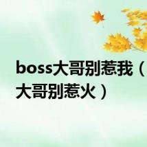 boss大哥别惹我（boss大哥别惹火）