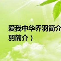 爱我中华乔羽简介（乔羽简介）