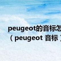 peugeot的音标怎么写（peugeot 音标）