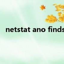 netstat ano findstr