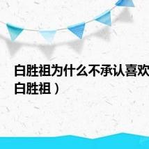 白胜祖为什么不承认喜欢哈尼（白胜祖）