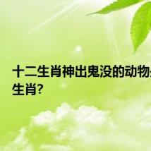 十二生肖神出鬼没的动物是什么生肖?