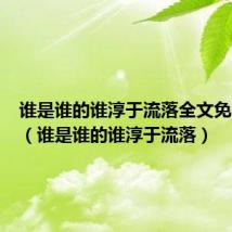 谁是谁的谁淳于流落全文免费阅读（谁是谁的谁淳于流落）