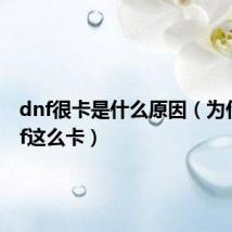 dnf很卡是什么原因（为什么dnf这么卡）