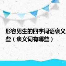 形容男生的四字词语褒义词有哪些（褒义词有哪些）