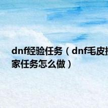 dnf经验任务（dnf毛皮搜集专家任务怎么做）