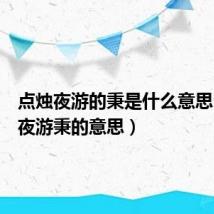 点烛夜游的秉是什么意思（秉烛夜游秉的意思）