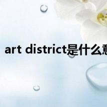 art district是什么意思