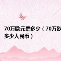 70万欧元是多少（70万欧元等于多少人民币）