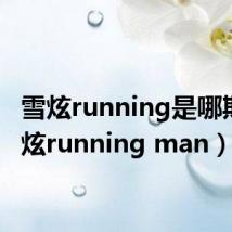 雪炫running是哪期（雪炫running man）