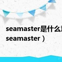 seamaster是什么意思（seamaster）