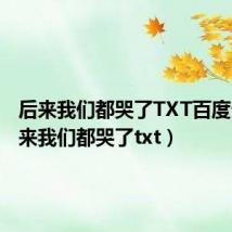 后来我们都哭了TXT百度云（后来我们都哭了txt）