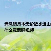 清风明月本无价近水远山皆有情什么意思啊视频