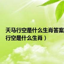 天马行空是什么生肖答案（天马行空是什么生肖）