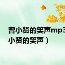 曾小贤的笑声mp3（曾小贤的笑声）