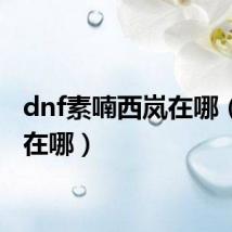 dnf素喃西岚在哪（西岚在哪）