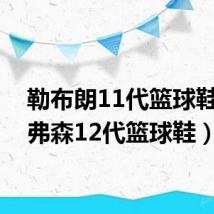 勒布朗11代篮球鞋（艾弗森12代篮球鞋）