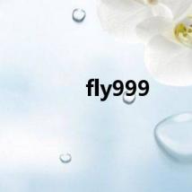 fly999