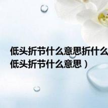 低头折节什么意思折什么意思（低头折节什么意思）