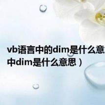 vb语言中的dim是什么意思（vb中dim是什么意思）