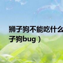 狮子狗不能吃什么（狮子狗bug）