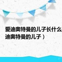 爱迪奥特曼的儿子长什么样（爱迪奥特曼的儿子）