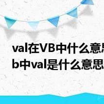 val在VB中什么意思（vb中val是什么意思）