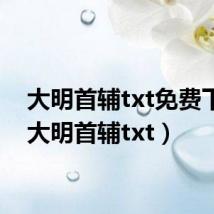 大明首辅txt免费下载（大明首辅txt）