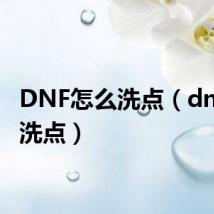 DNF怎么洗点（dnf怎么洗点）