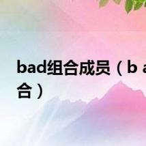 bad组合成员（b a d组合）