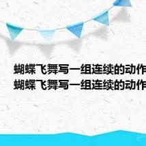 蝴蝶飞舞写一组连续的动作句子（蝴蝶飞舞写一组连续的动作）