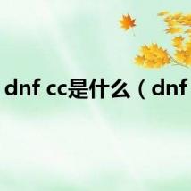 dnf cc是什么（dnf cc）