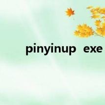 pinyinup  exe